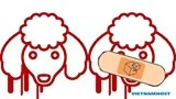 Hướng dẫn vô hiệu hóa SSLv3