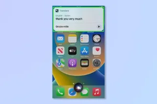 7 Siri-Befehle, die jeder iPhone-Besitzer verwenden sollte