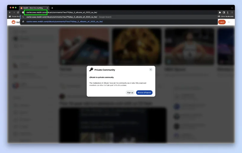So zeigen Sie Reddit-Beiträge während des unbestimmten Blackouts an