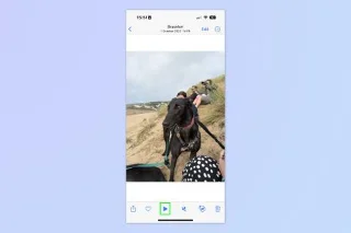 iOS 17 でビデオの Visual Look Up を使用する方法