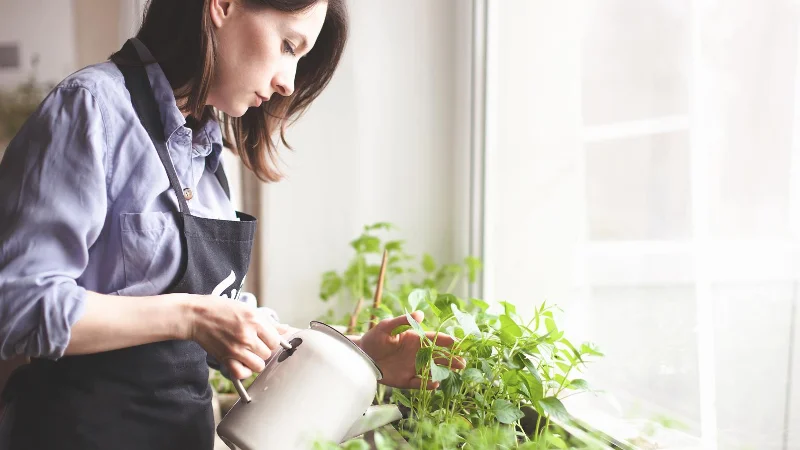 9 plantes qui repoussent les moustiques et les éloignent de votre jardin