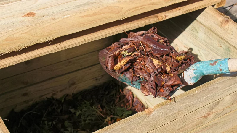 7 choses qui attirent les rats et les souris chez vous