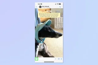 So erstellen Sie eine Umfrage in WhatsApp