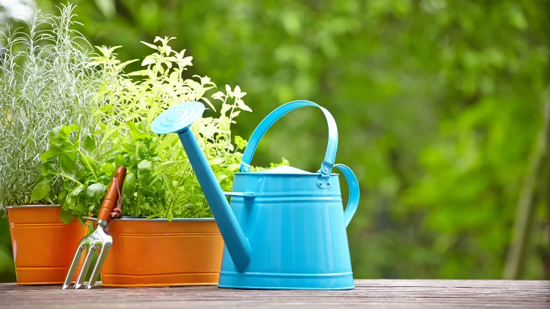 7 choses qui attirent les cafards dans votre maison - et comment y remédier