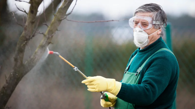 9 choses à considérer avant d'utiliser des pesticides dans votre jardin