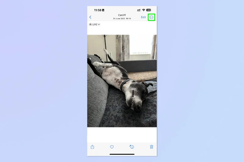 So verwandeln Sie ein Live-Foto auf dem iPhone und iPad in ein Video