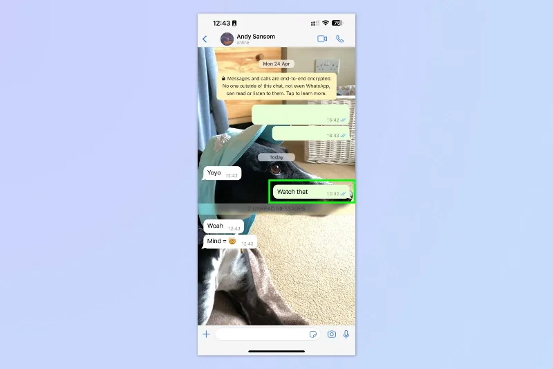So bearbeiten Sie WhatsApp-Nachrichten auf iOS und Android