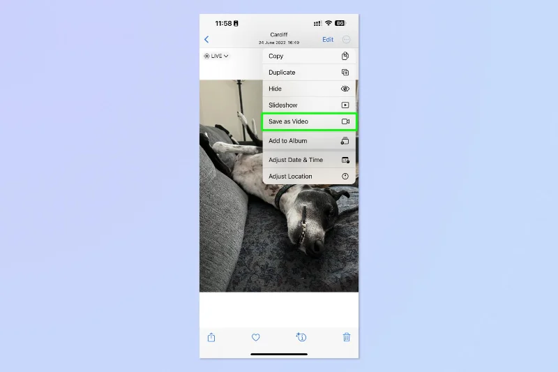 So verwandeln Sie ein Live-Foto auf dem iPhone und iPad in ein Video