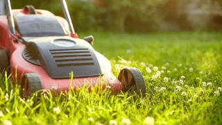 5 mauvaises habitudes que vos voisins détestent