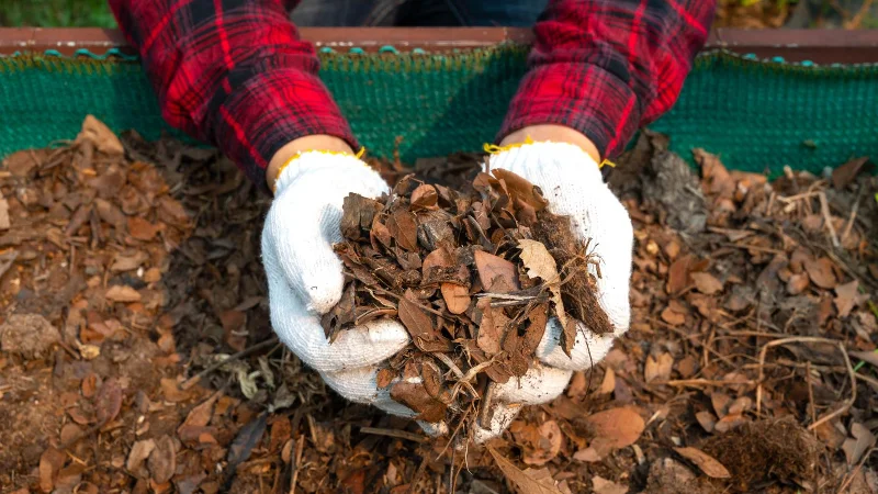 9 Möglichkeiten, wie Sie Grasschnitt nach dem Mähen wiederverwenden können