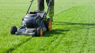 7 avantages dun jardin de fleurs sauvages - et pourquoi vous devriez en cultiver un
