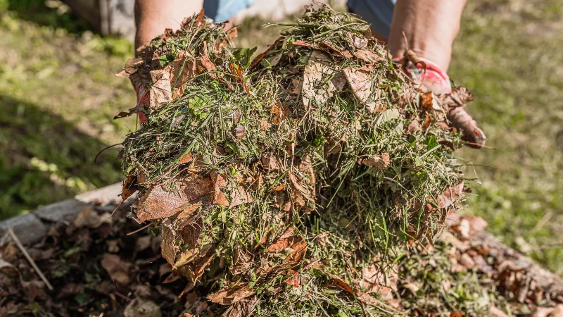 9 Möglichkeiten, wie Sie Grasschnitt nach dem Mähen wiederverwenden können