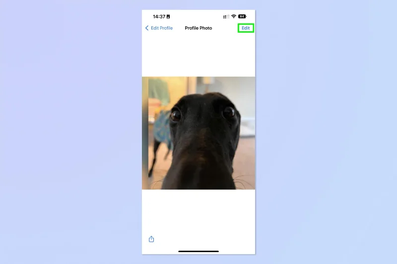 WhatsApp アバターを作成できるようになりました - その方法は次のとおりです
