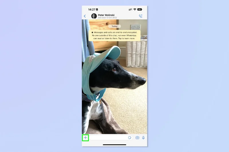 So erstellen Sie eine Umfrage in WhatsApp