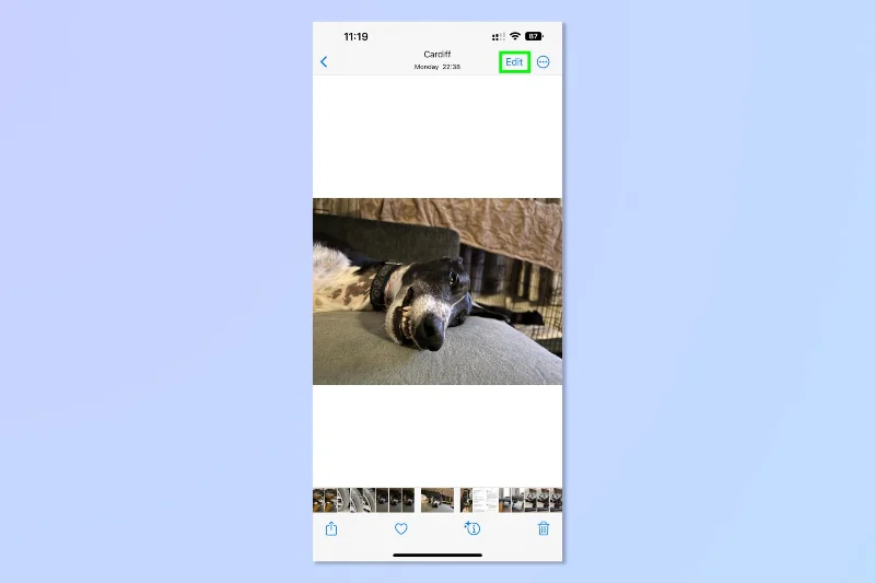 Diese iOS 16-Fotofunktion hat die Bildbearbeitung so viel einfacher gemacht