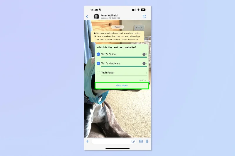 So erstellen Sie eine Umfrage in WhatsApp