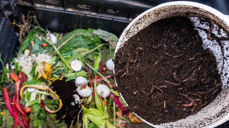 9 Möglichkeiten, wie Sie Grasschnitt nach dem Mähen wiederverwenden können
