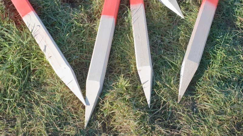 Verhindern Sie, dass Vögel Pflanzen in Ihrem Garten ruinieren – 7 einfache Tipps