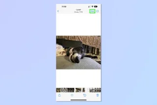 Diese iOS 16-Fotofunktion hat die Bildbearbeitung so viel einfacher gemacht