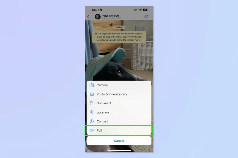 So erstellen Sie eine Umfrage in WhatsApp